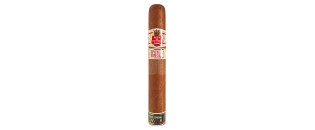 Hoyo de Monterrey Epicure Especial Cava 8