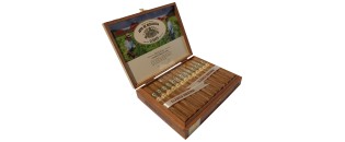 Joya de Nicaragua Classico No.6