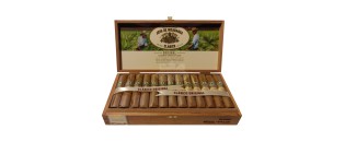 Joya de Nicaragua Clasico Consul