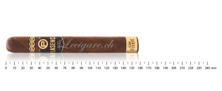 Zigarren Plasencia Discovery Pack (8 Zigarren)