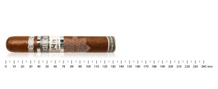 Zigarren Plasencia Discovery Pack (8 Zigarren)