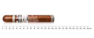 Zigarren Plasencia Discovery Pack (8 Zigarren)