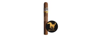 Cohiba Short Humidor Year of the Horse