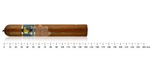 Cohiba Behike 54