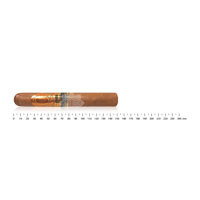 Perdomo 10th Anniversary Connecticut Epicure