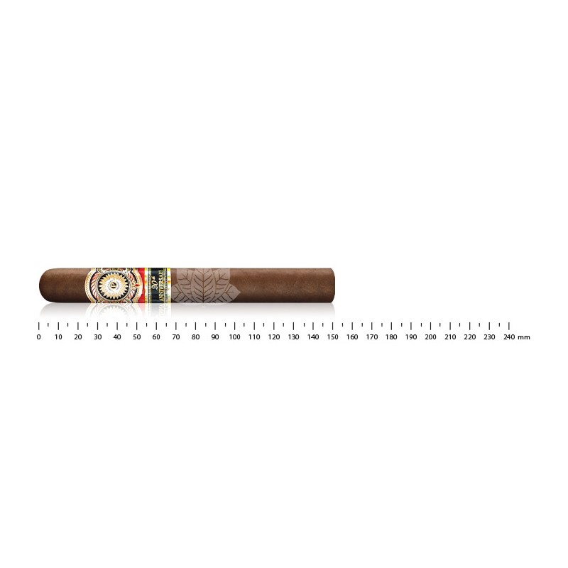 Perdomo 20th Anniversary Sungrown Epicure