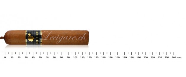 Cohiba Behike 52 (10)