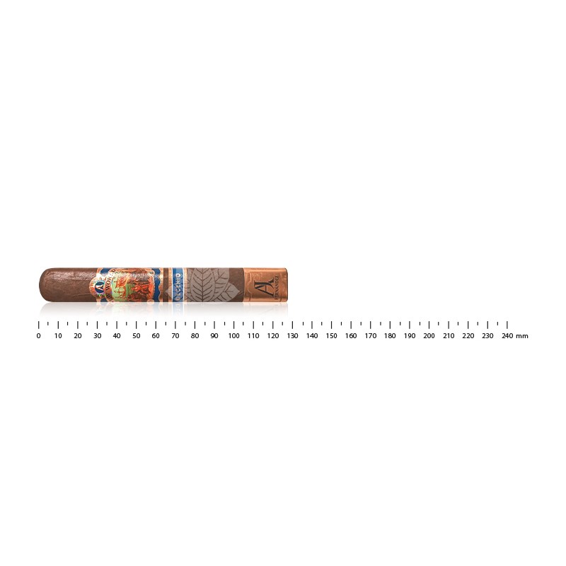 AJ Fernandez New World Decenio Robusto