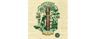 Villa Zamorano Danlí Toro