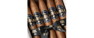 Don Misima 66 - Diego Piramides