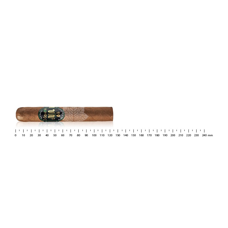Don Misima 66 - Maria Robusto