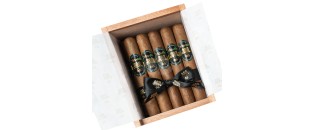 Don Misima 66 - Maria Robusto