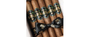 Don Misima 66 - Maria Robusto