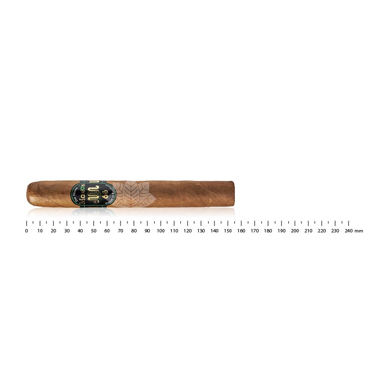 Don Misima 66 - Maria Robusto Extra