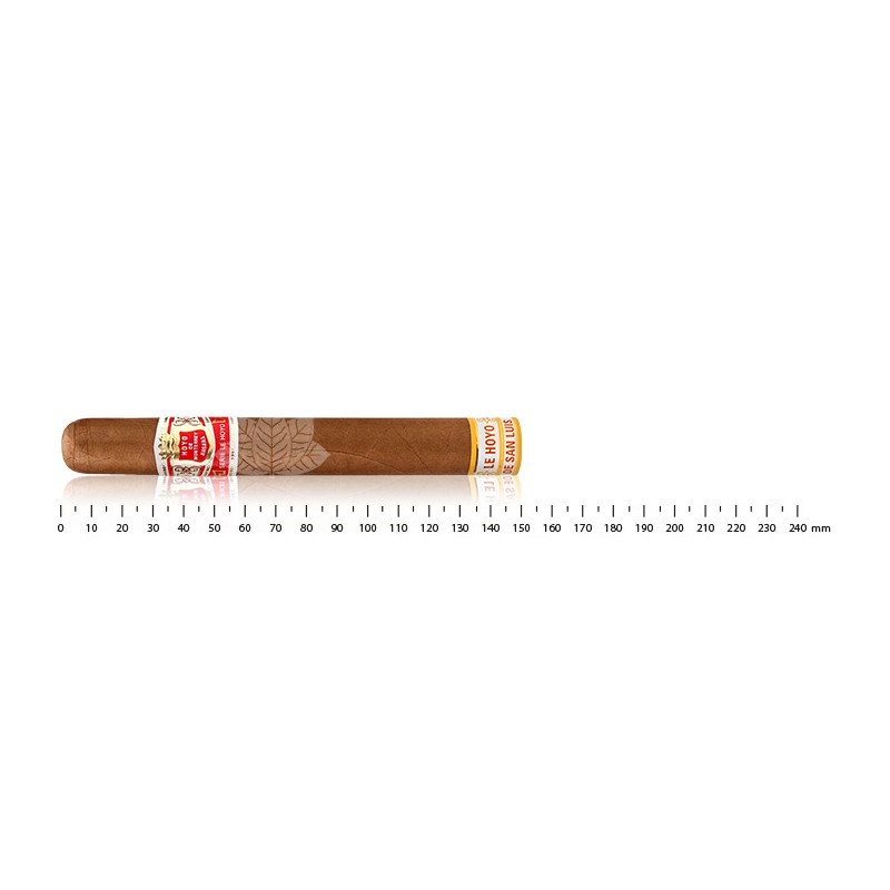 Hoyo de Monterrey – Le Hoyo de San Luis