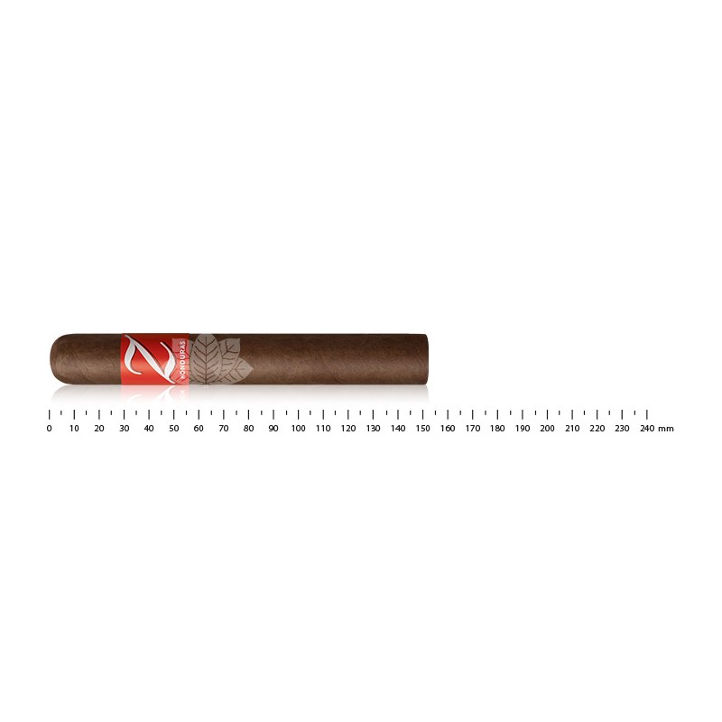 Zino Honduras Toro