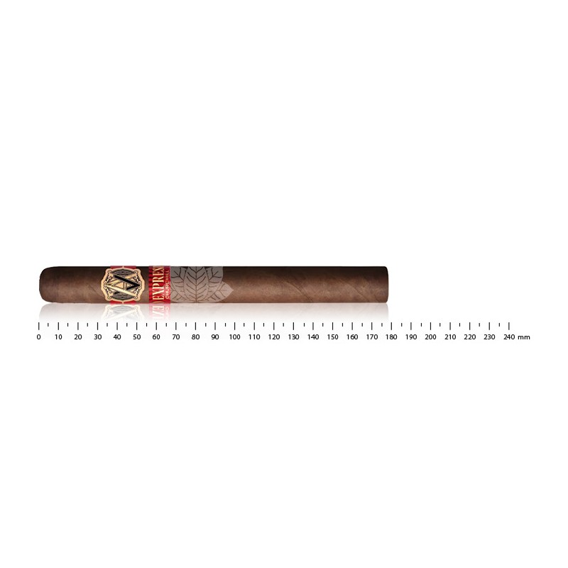 Avo Expresivo Churchill