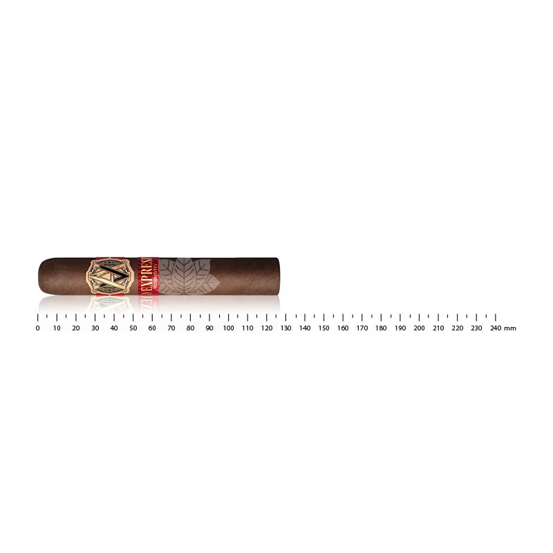 Avo Expresivo Robusto