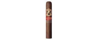 Avo Expresivo Robusto