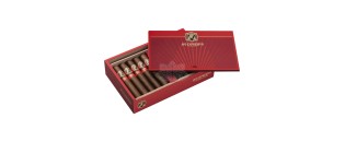 Avo Expresivo Robusto