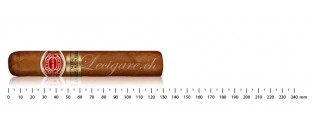 Romeo y Julieta Wide Churchills