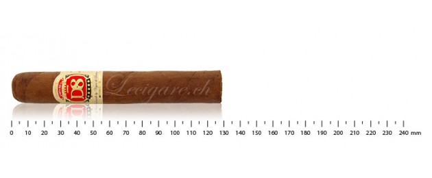 Vegas de Santiago D8 Robusto