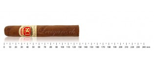 Vegas de Santiago D8 Robusto