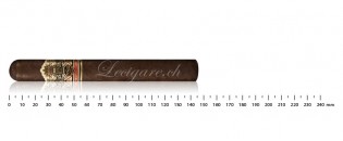 Ashton VSG Corona Gorda