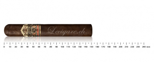 Ashton VSG Wizard