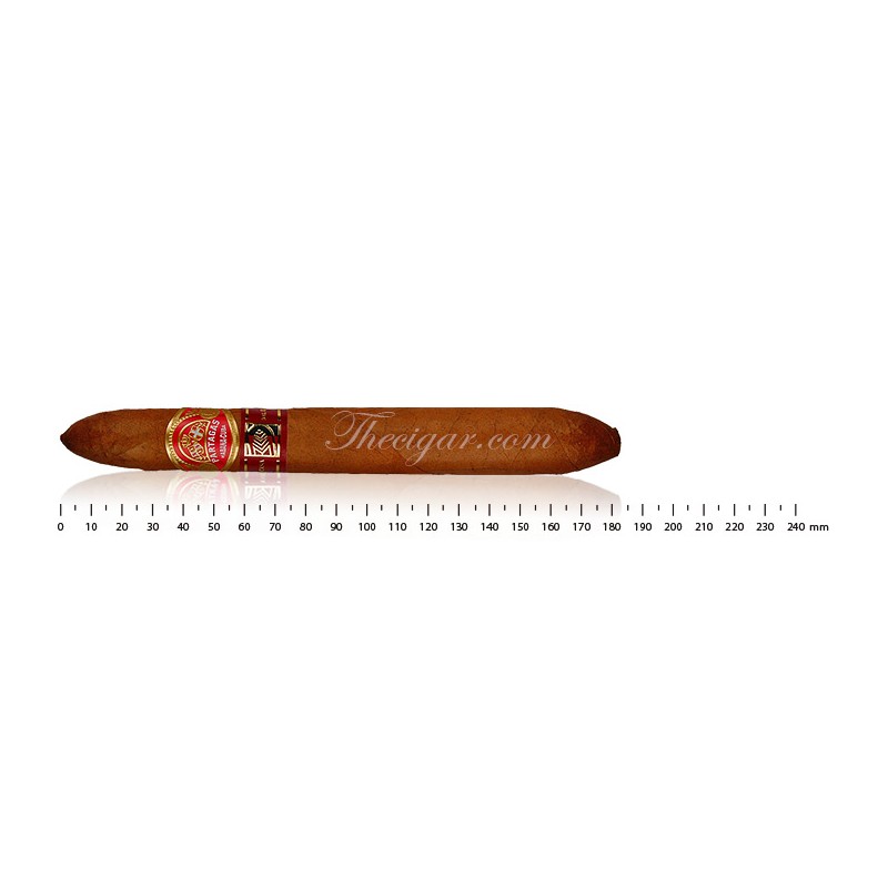 Partagas Salomones (10) (LCDH)