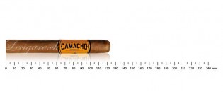 Camacho Connecticut Robusto