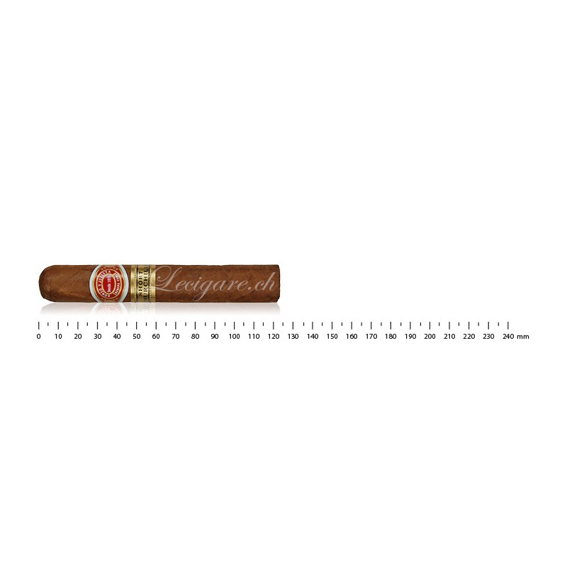 Romeo y Julieta Short Churchill