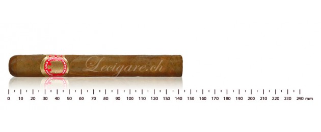 Saint Luis Rey Série A