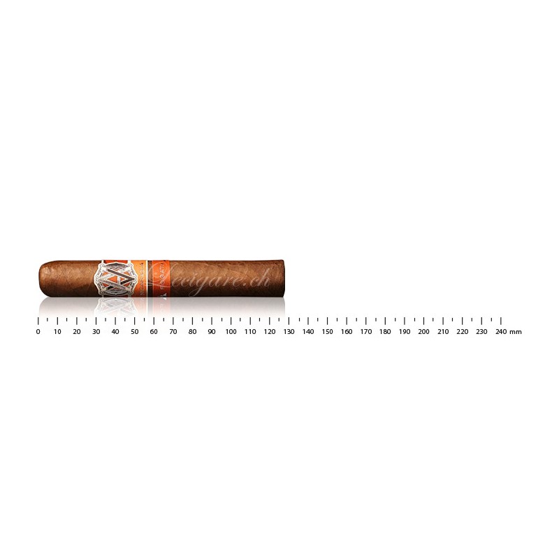 Avo Syncro Fogata Robusto (20)