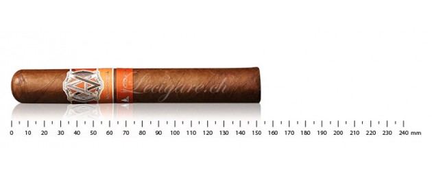 Avo Syncro Fogata Toro (20)