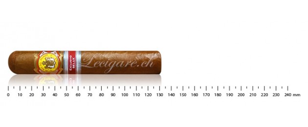 El Rey del Mundo Choix du...