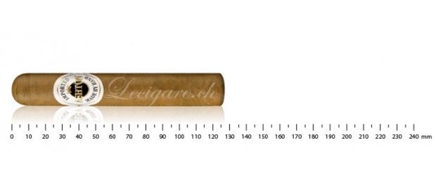 Ashton Classic Magnum