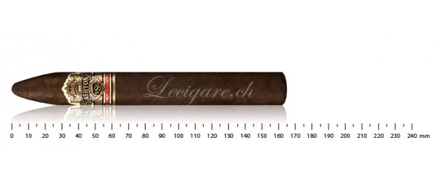 Ashton VSG Torpedo