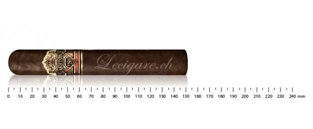 Ashton VSG Wizard