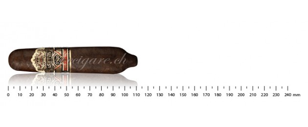 Ashton VSG Enchantment
