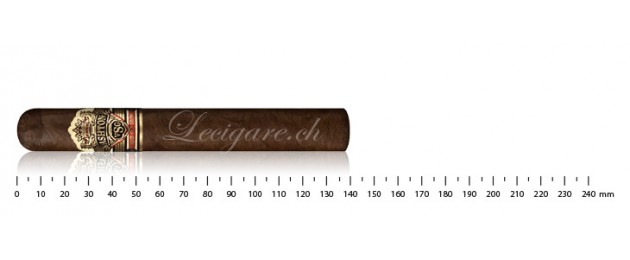 Ashton VSG Robusto