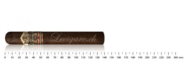 Ashton VSG Robusto Especial