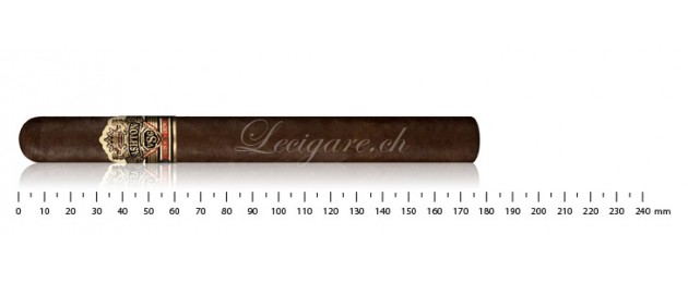 Ashton VSG Sorcerer