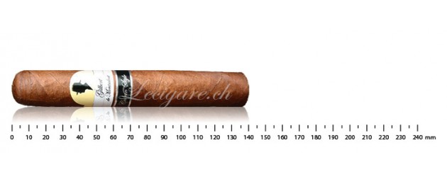 Gilbert de Montsalvat Cuban...