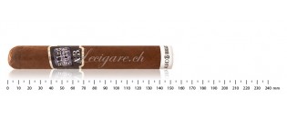 Alec Bradley Blind Faith Gordo