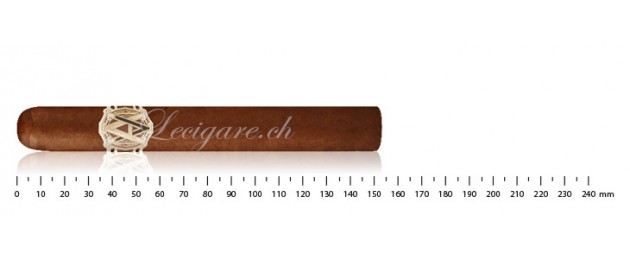 Avo Heritage Toro