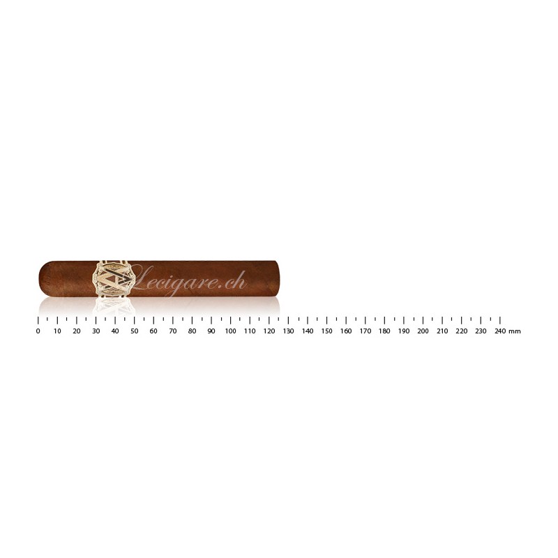 Avo Heritage Robusto