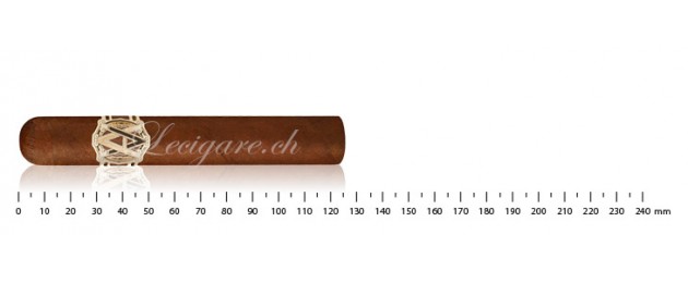 Avo Heritage Robusto