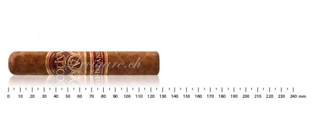 Oliva Série V Melanio Robusto