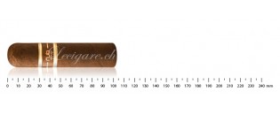 NUB Maduro 460